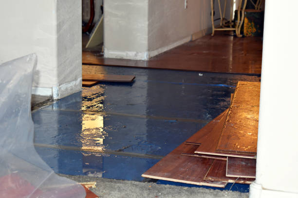 Professional Water Damage technician working in Hye, TX